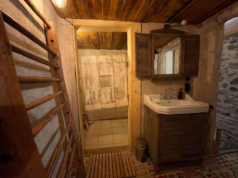 Maison Vigneron - Maison Et Studio Saint-Didier-sur-Beaujeu Екстер'єр фото